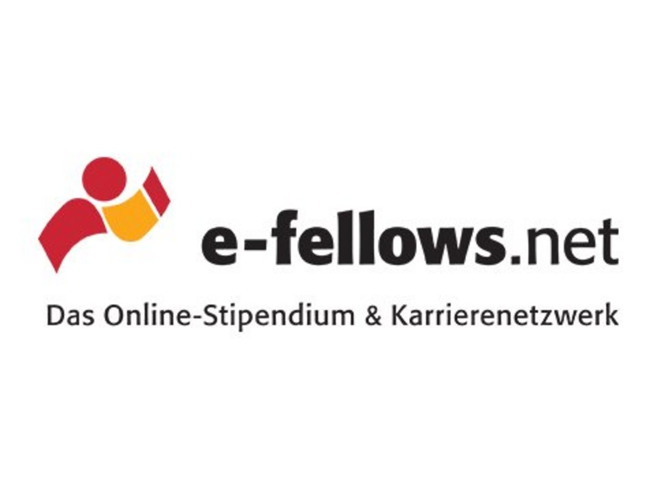 Logo e-fellows.net – Das Online-Stipendium und Karrierenetzwerk